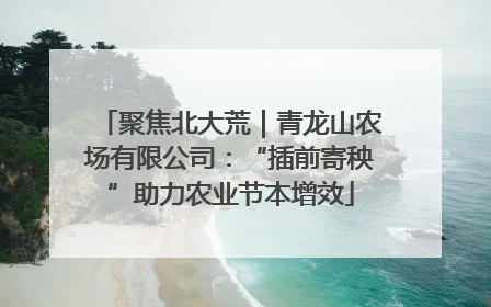 聚焦北大荒｜青龙山农场有限公司：“插前寄秧”助力农业节本增效