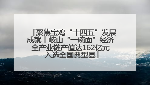 聚焦宝鸡“十四五”发展成就丨岐山“一碗面”经济全产业链产值达162亿元 入选全国典型县