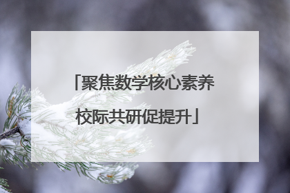 聚焦数学核心素养 校际共研促提升