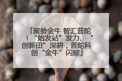 聚势金牛 智汇普陀〡“始发站”发力、“创新田”深耕，普陀科创“金牛”闪耀