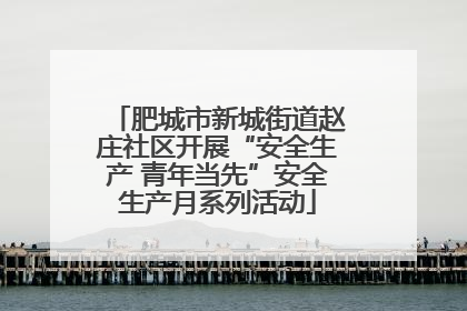 肥城市新城街道赵庄社区开展“安全生产 青年当先”安全生产月系列活动
