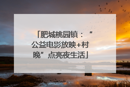 肥城桃园镇：“公益电影放映+村晚”点亮夜生活