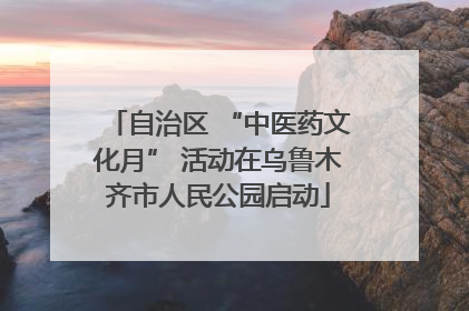 自治区 “中医药文化月” 活动在乌鲁木齐市人民公园启动