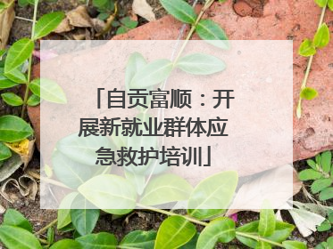 自贡富顺：开展新就业群体应急救护培训