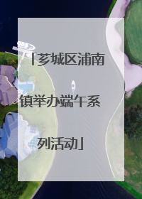 芗城区浦南镇举办端午系列活动