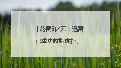 花费5亿元，迅雷已成功收购虎扑