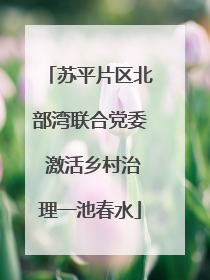 苏平片区北部湾联合党委 激活乡村治理一池春水