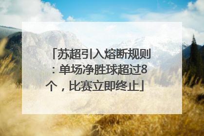 苏超引入熔断规则：单场净胜球超过8个，比赛立即终止