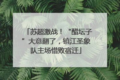 苏超激战！“醋坛子”大意翻了，镇江圣象队主场惜败宿迁