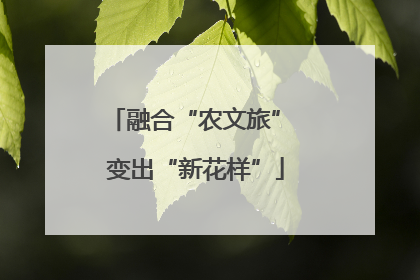 融合“农文旅” 变出“新花样”