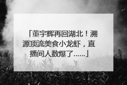 董宇辉再回湖北！溯源顶流美食小龙虾，直播间人数爆了……