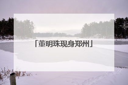 董明珠现身郑州