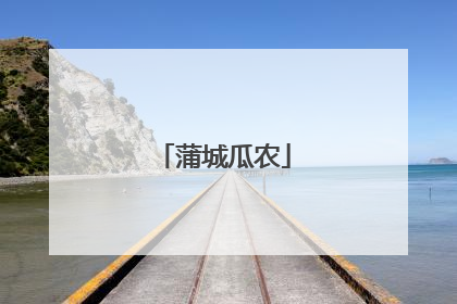 蒲城瓜农