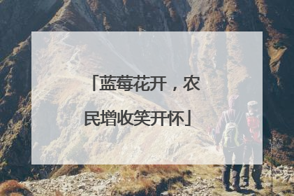 蓝莓花开，农民增收笑开怀