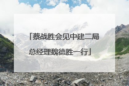 蔡战胜会见中建二局总经理魏德胜一行