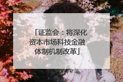 证监会：将深化资本市场科技金融体制机制改革