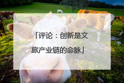 评论：创新是文旅产业链的命脉
