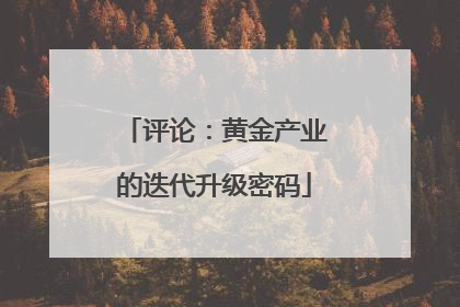 评论：黄金产业的迭代升级密码