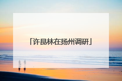 许昆林在扬州调研