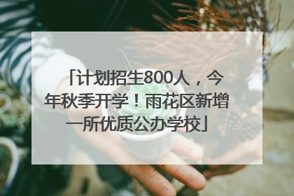 计划招生800人，今年秋季开学！雨花区新增一所优质公办学校