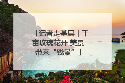 记者走基层｜千亩玫瑰花开 美景带来“钱景”