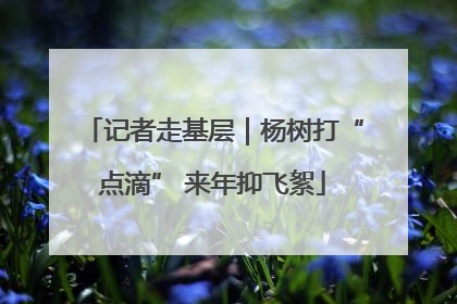 记者走基层｜杨树打“点滴” 来年抑飞絮