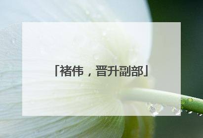 褚伟，晋升副部