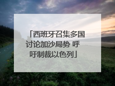 西班牙召集多国讨论加沙局势 呼吁制裁以色列