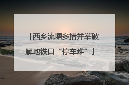 西乡流塘多措并举破解地铁口“停车难”
