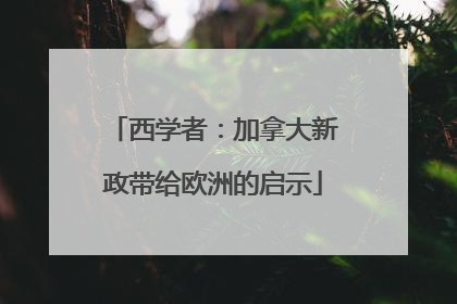 西学者：加拿大新政带给欧洲的启示