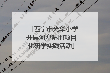 西宁市光华小学开展河湟湿地项目化研学实践活动