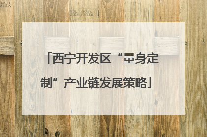 西宁开发区“量身定制”产业链发展策略