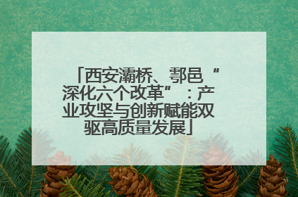 西安灞桥、鄠邑“深化六个改革”：产业攻坚与创新赋能双驱高质量发展