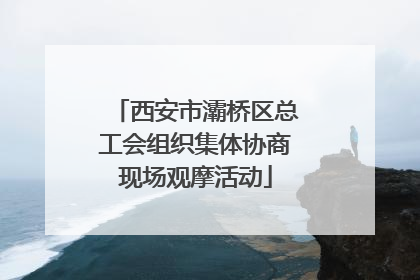 西安市灞桥区总工会组织集体协商现场观摩活动