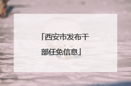 西安市发布干部任免信息