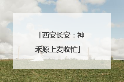 西安长安：神禾塬上麦收忙
