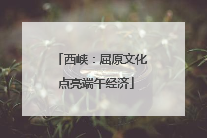 西峡：屈原文化点亮端午经济