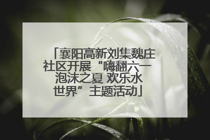 襄阳高新刘集魏庄社区开展“嗨翻六一 泡沫之夏 欢乐水世界”主题活动