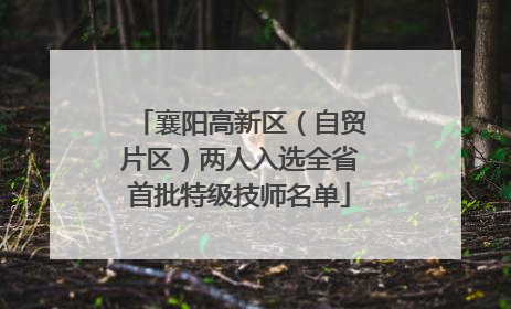 襄阳高新区（自贸片区）两人入选全省首批特级技师名单