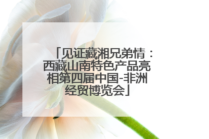 见证藏湘兄弟情：西藏山南特色产品亮相第四届中国-非洲经贸博览会