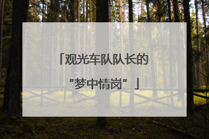观光车队队长的“梦中情岗”