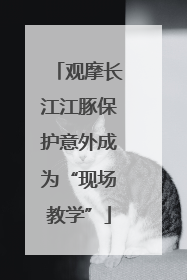 观摩长江江豚保护意外成为“现场教学”