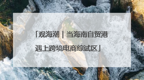 观海潮｜当海南自贸港遇上跨境电商综试区