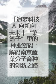 追梦科技人 向新向未来｜“菜篮子”里的种业密码：解码南京蔬菜分子育种的创新之路