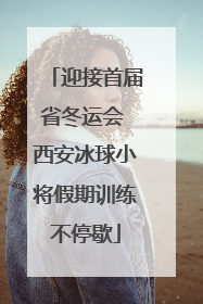 迎接首届省冬运会 西安冰球小将假期训练不停歇