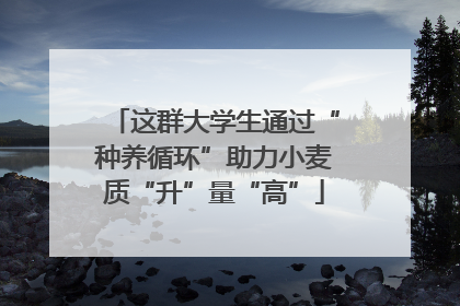 这群大学生通过“种养循环”助力小麦质“升”量“高”