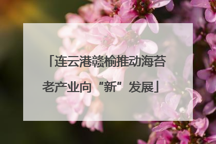 连云港赣榆推动海苔老产业向“新”发展