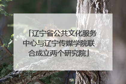 辽宁省公共文化服务中心与辽宁传媒学院联合成立两个研究院