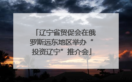 辽宁省贸促会在俄罗斯远东地区举办“投资辽宁”推介会