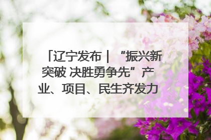辽宁发布｜“振兴新突破 决胜勇争先”产业、项目、民生齐发力 葫芦岛按下决胜之年“加速键”